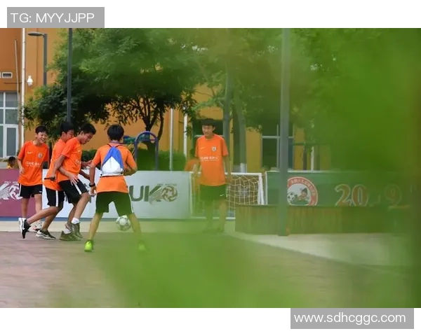 足球初恋的青春回忆与梦想追逐之旅 足球初恋的青春回忆与梦想追逐之旅