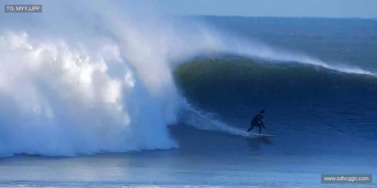零时差直击赛场，沉浸式体验每一次心跳！📺⚽️