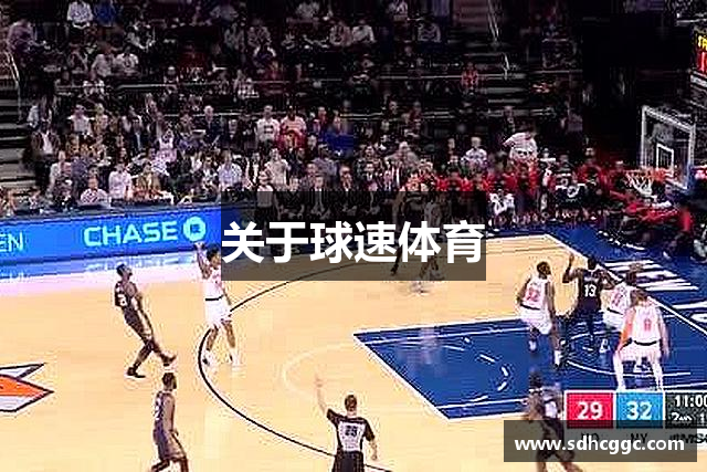 关于球速体育